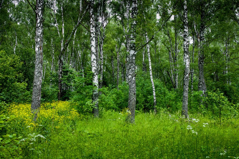 Photograph by Владимир Говоров