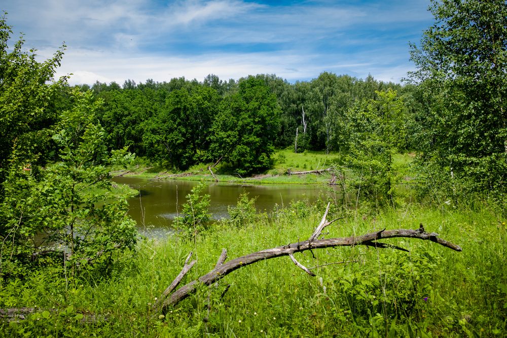 Photograph by Владимир Говоров
