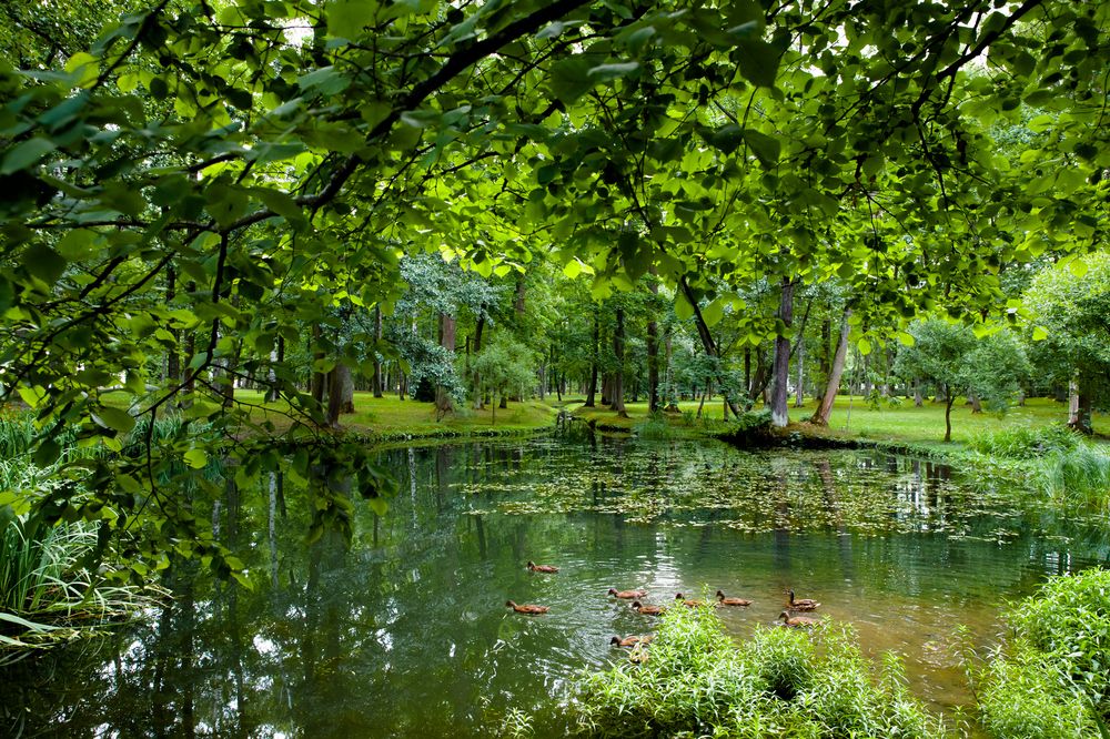 Photograph by Владимир Говоров