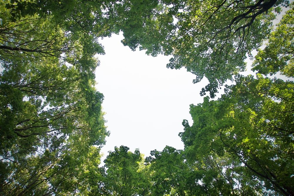 Фотография автора Ярослав Качура