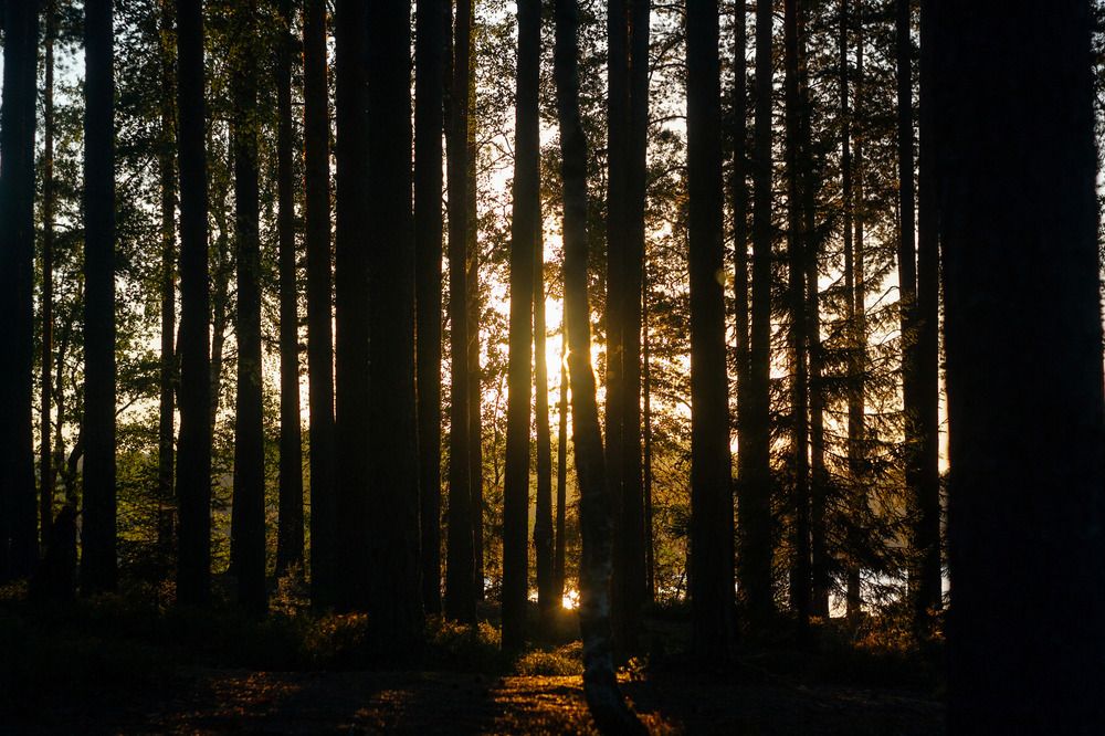 Фотография автора Ярослав Качура