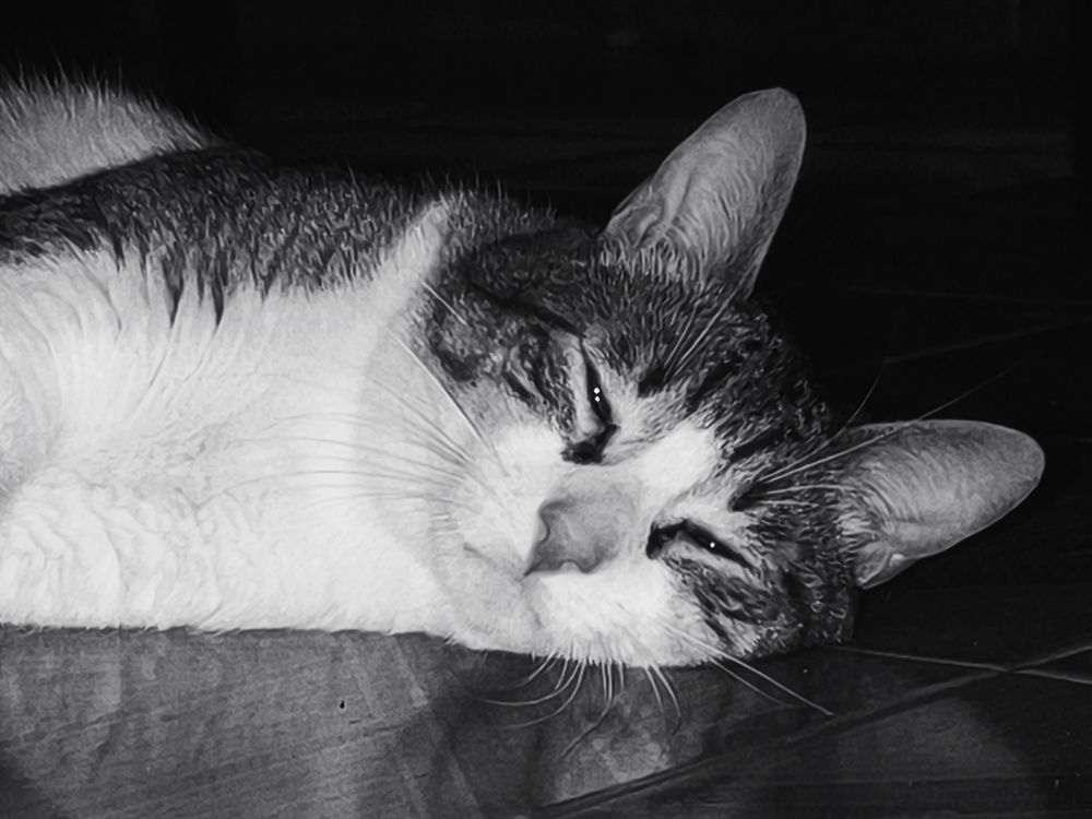 Photograph by Roger Laverde