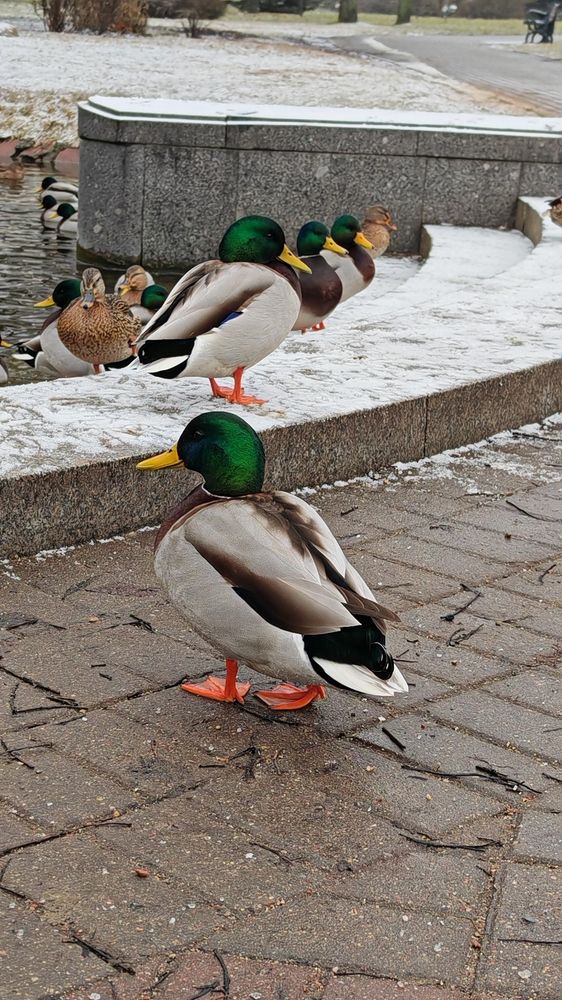 Photograph by Ирина Подлубная