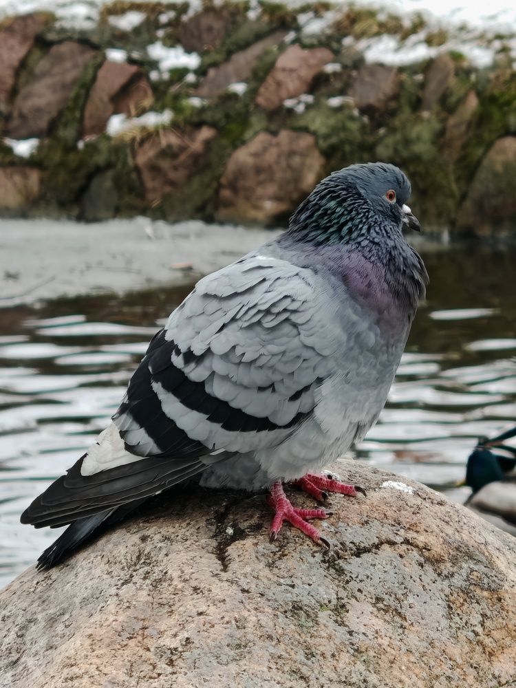 Photograph by Ирина Подлубная