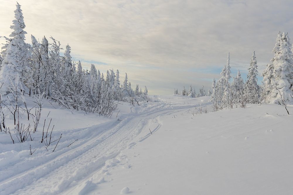 Photograph by Евгений Вяткин