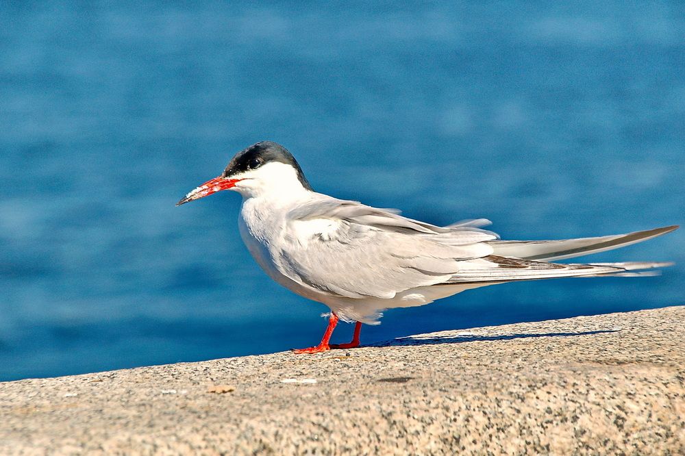 Photograph by Александр