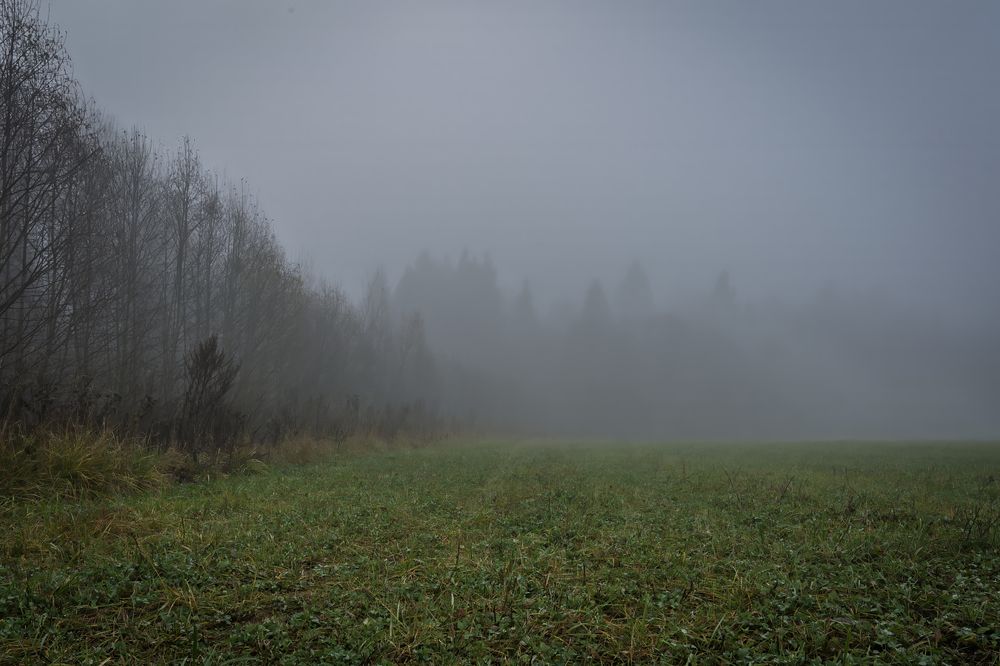 Photograph by Андрей Пучков