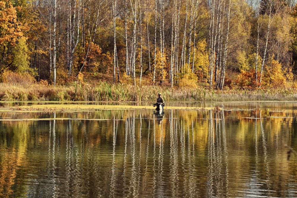 Photograph by Андрей Пучков