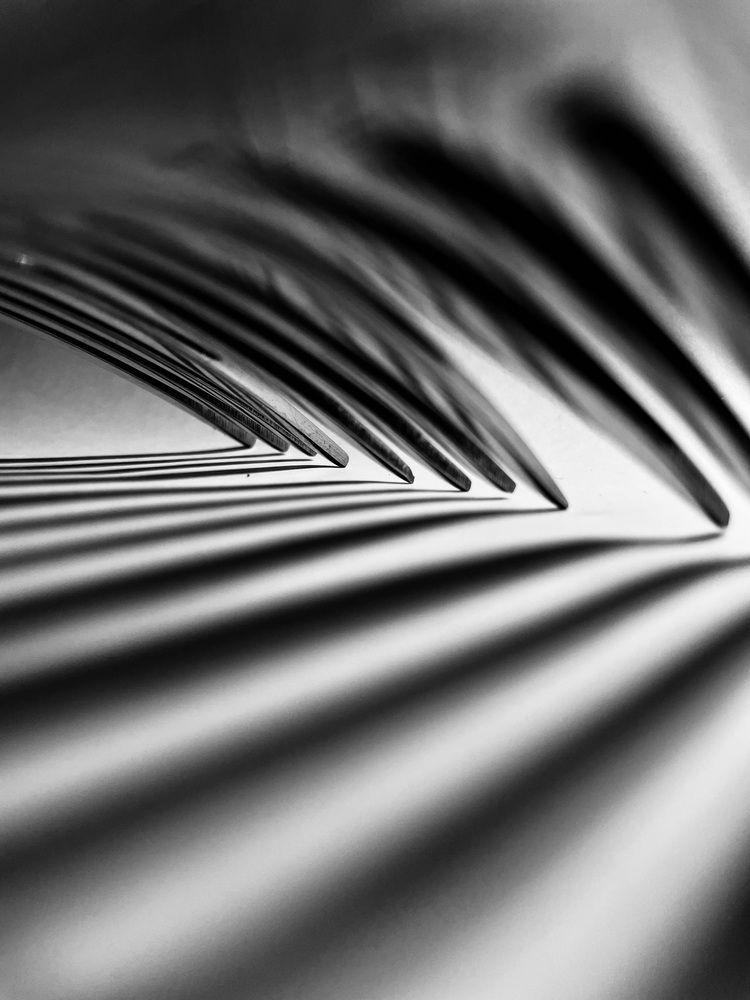 Фотография автора Дарья Блок