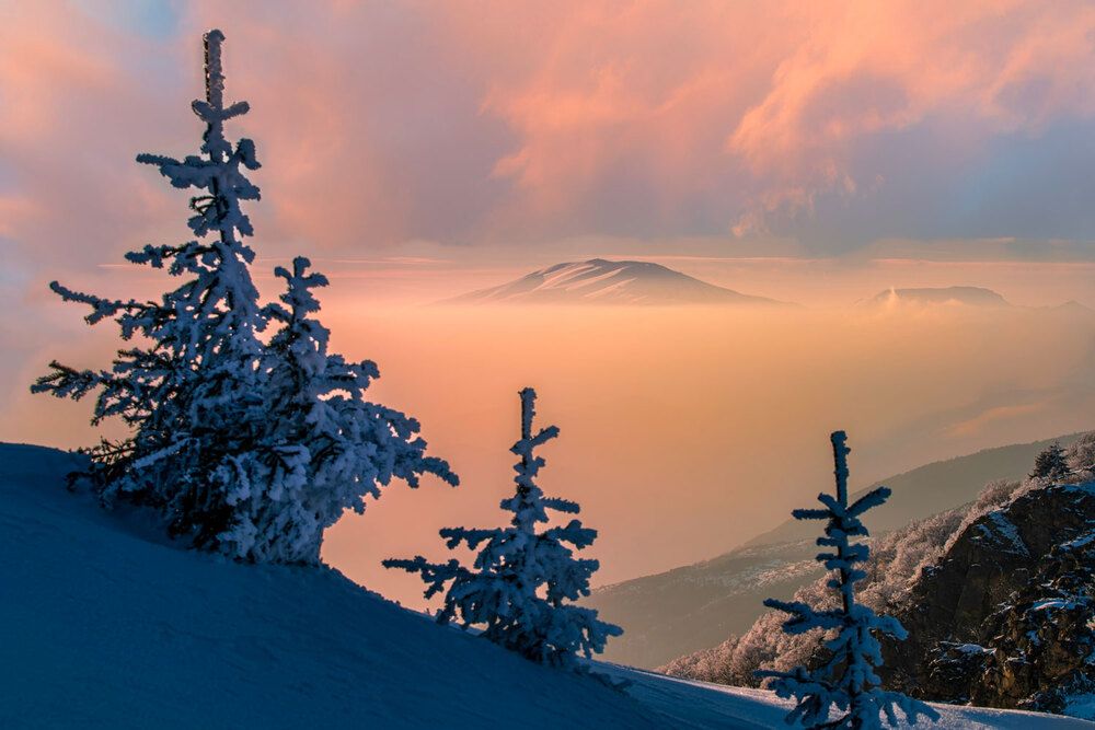 Photograph by Plamen