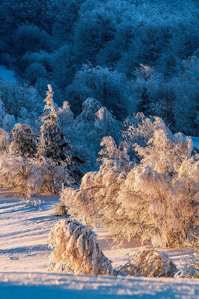 Photograph by Plamen