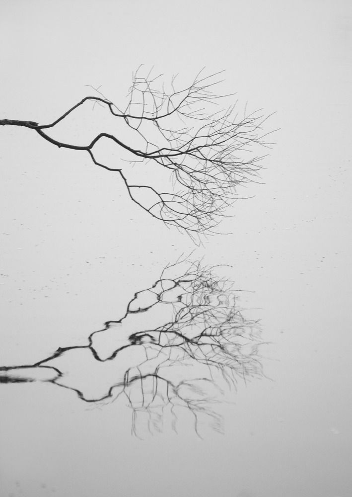 Photograph by Янина Черпухина-Андреева