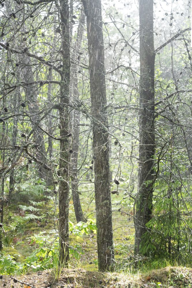 Photograph by Андрей Семенков