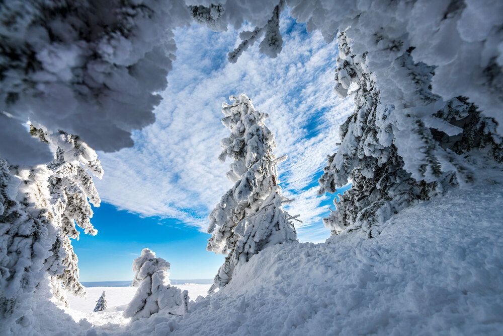 Photograph by Plamen