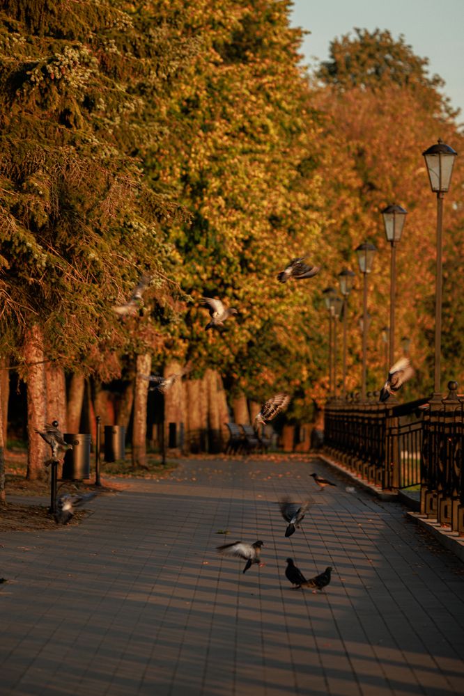 Photograph by Vladimir Petukhov