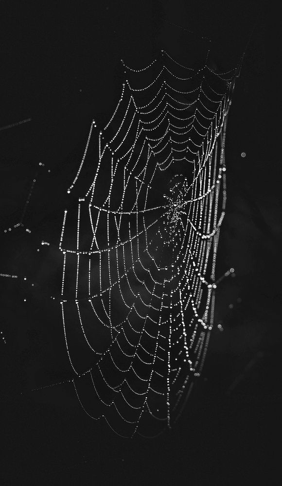 Photograph by Ольга Саенко