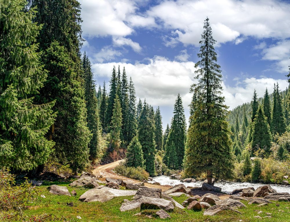 Photograph by Иван Труфанов