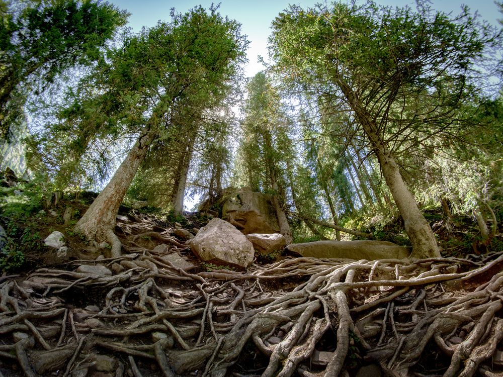 Photograph by Иван Труфанов