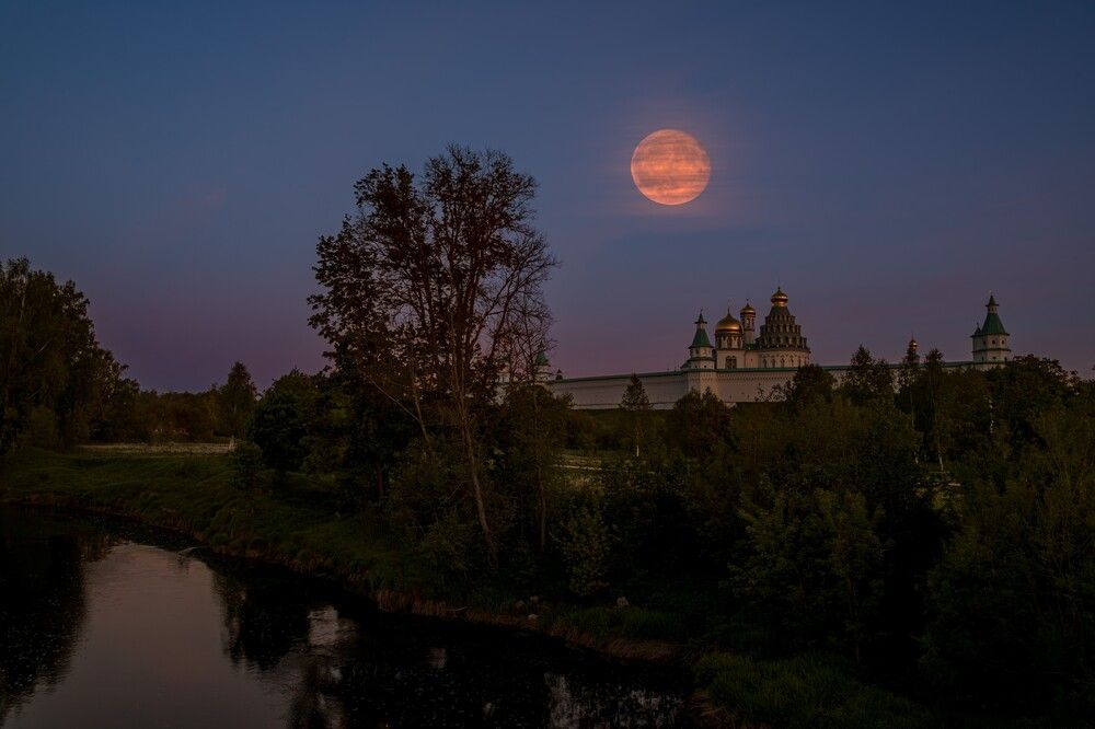 Photograph by Елена Овчинникова