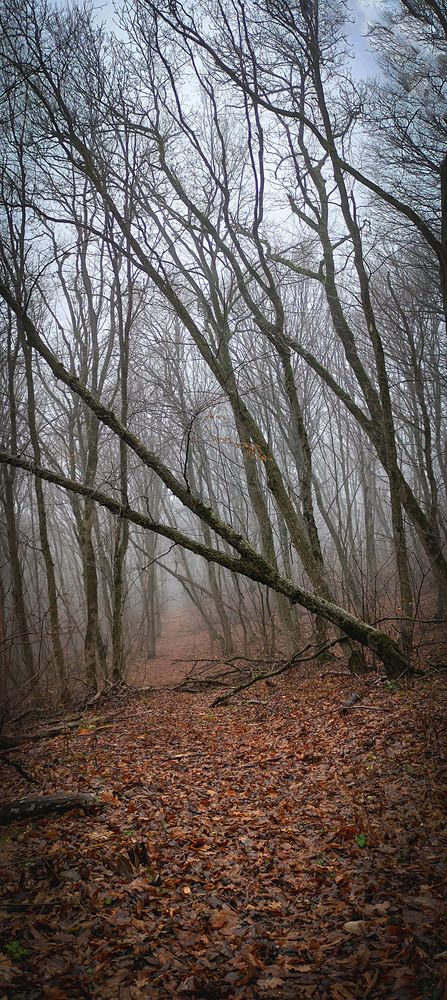 Photograph by Вадим Карпов