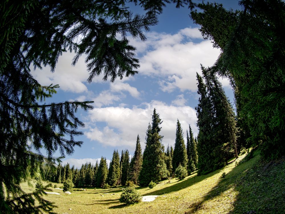 Photograph by Иван Труфанов