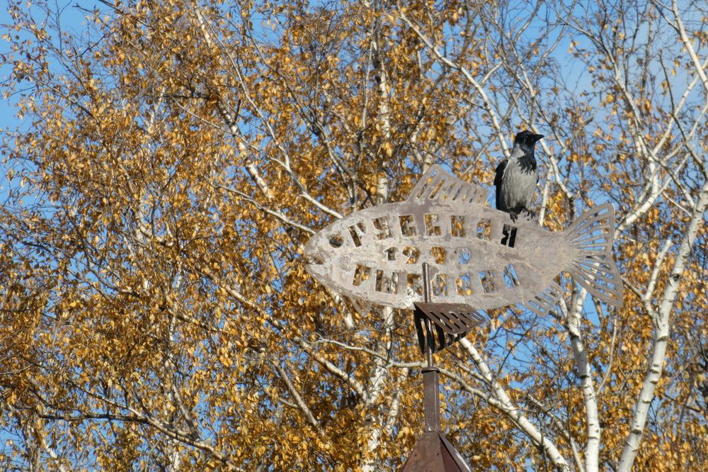 Photograph by Семкин Алексей