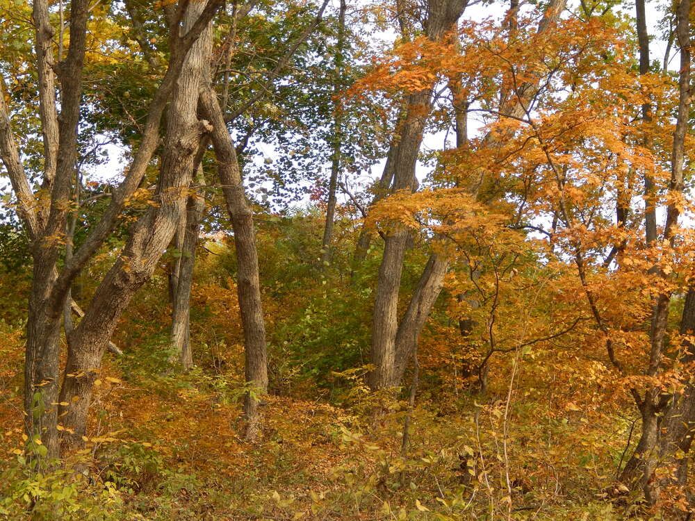 Осеннее тепло.