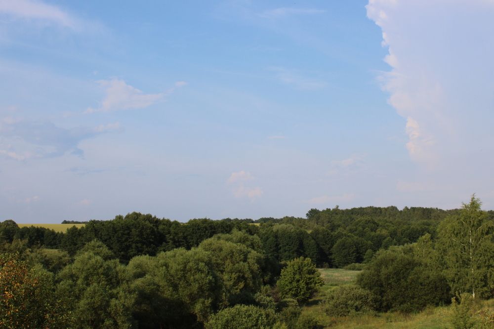 Photograph by Елена Коробченко