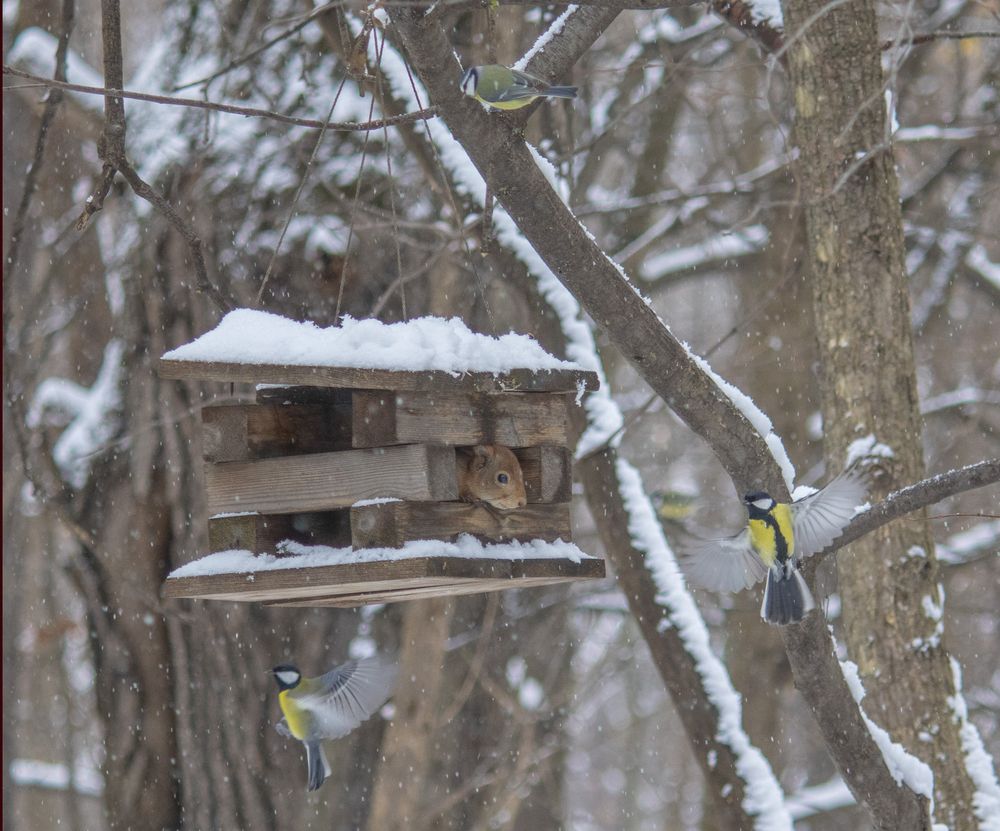 Photograph by Татьяна Пашинцева