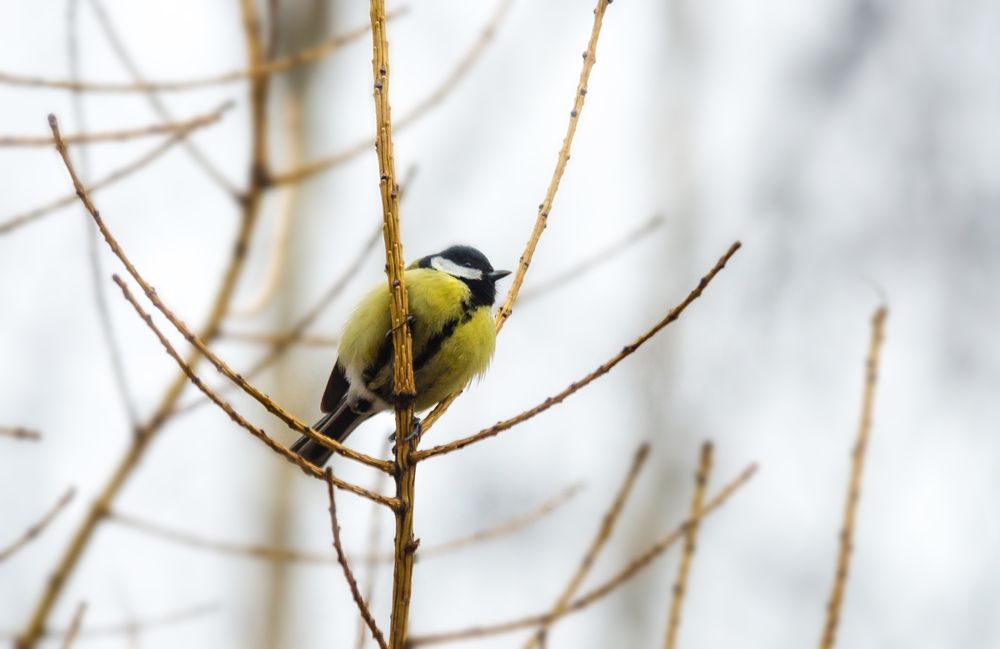 Photograph by Екатерина Ковалева