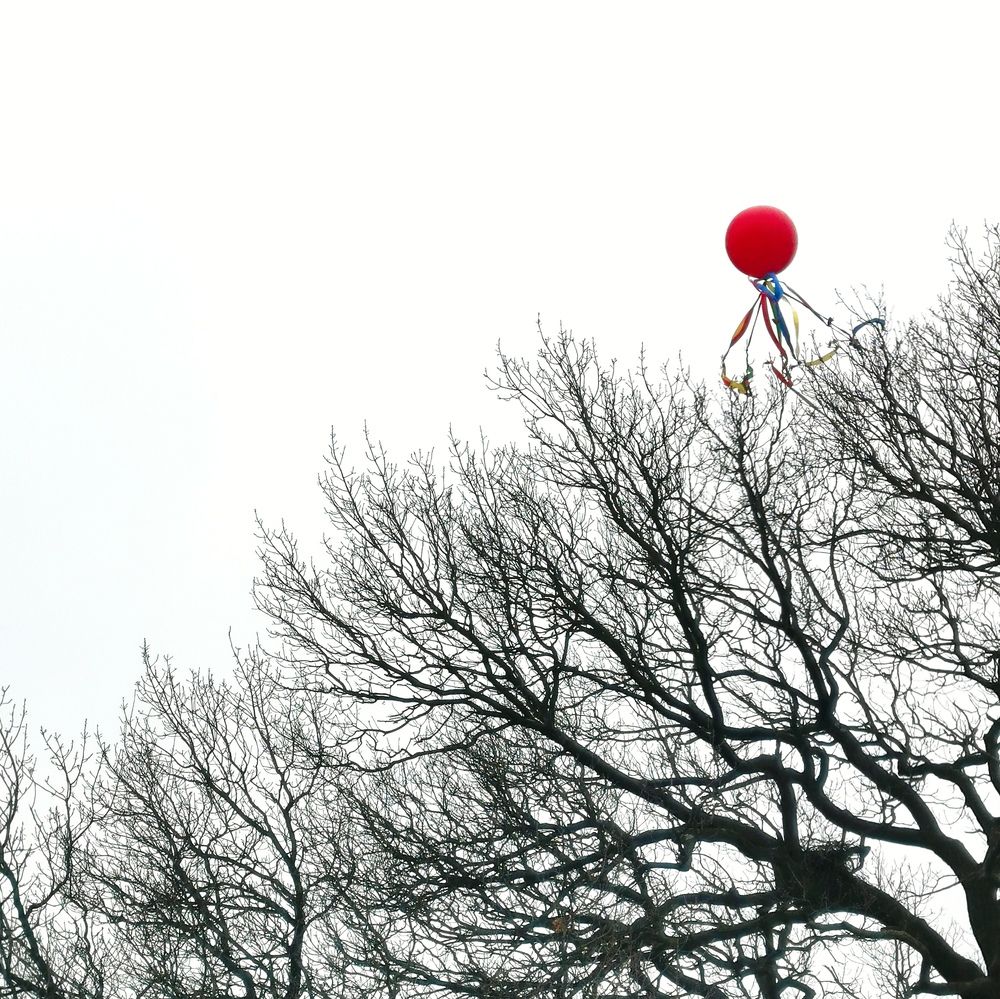 Photograph by Елена Акимова