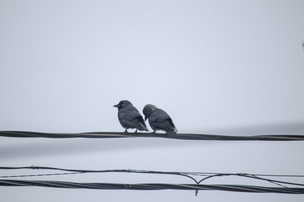 Photograph by Татьяна Пашинцева