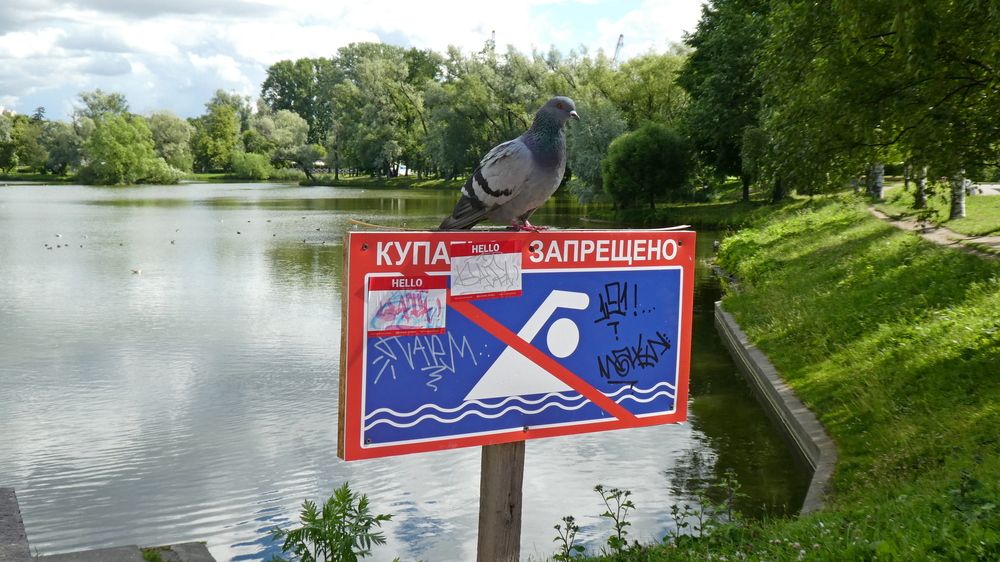 Photograph by Семкин Алексей