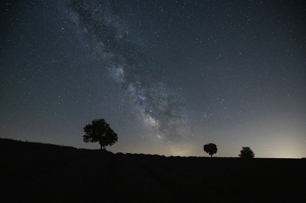 Photograph by Dinesh Umagiliya