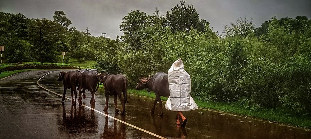 Monsoon Ride