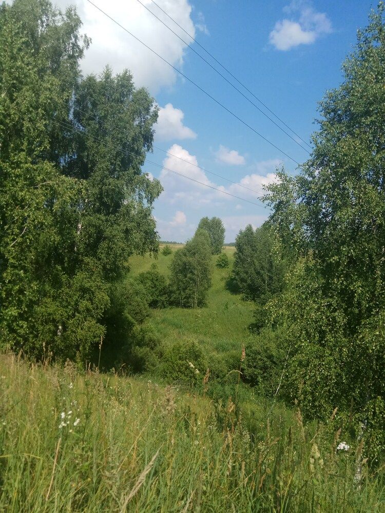 Photograph by Громова Мария