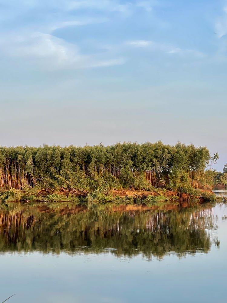 Фотография автора Nadezhda