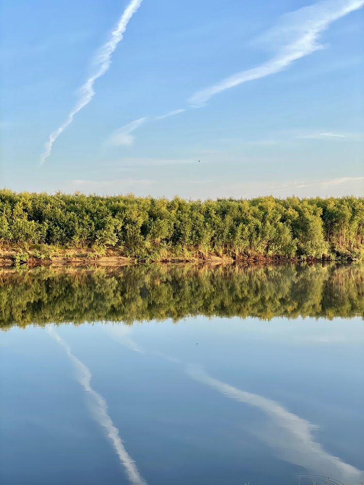 Фотография автора Nadezhda