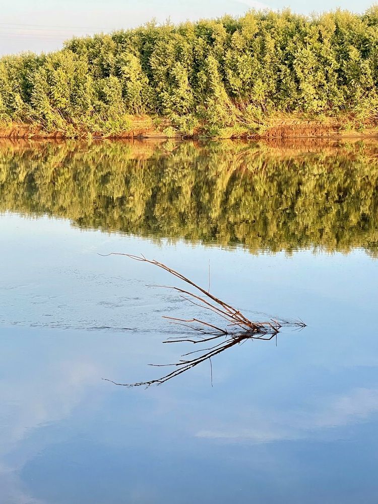 Фотография автора Nadezhda