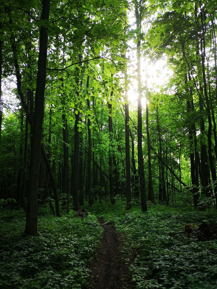 Photograph by София Лысова