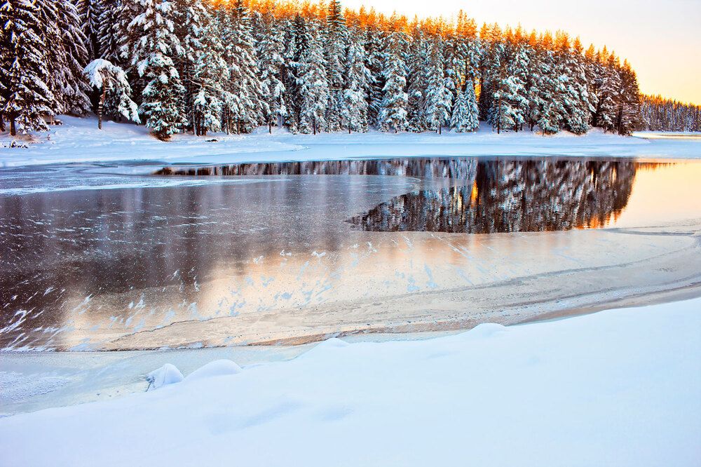 Photograph by Plamen