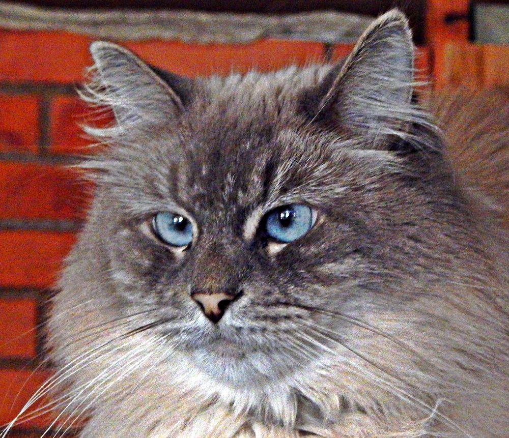 Photograph by Юрий Пучков