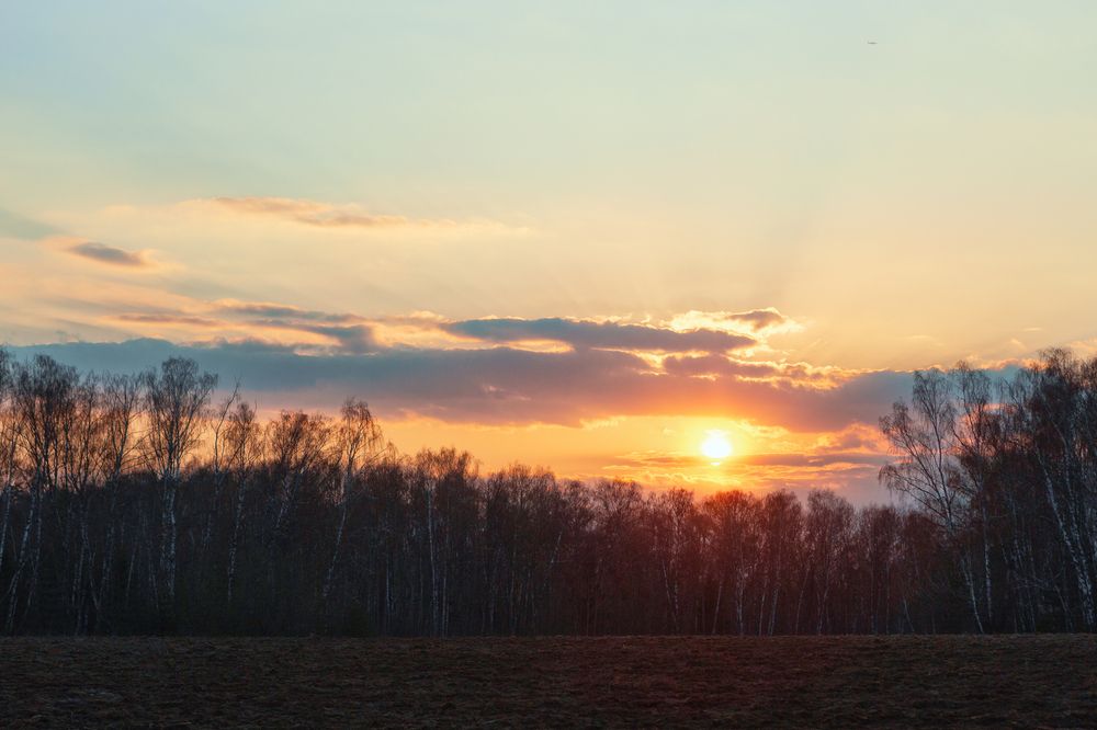 Фотография автора Наталья Дороднова