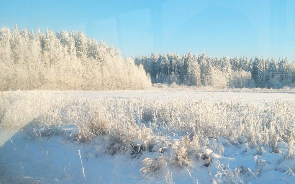 Photograph by София Бояринцева