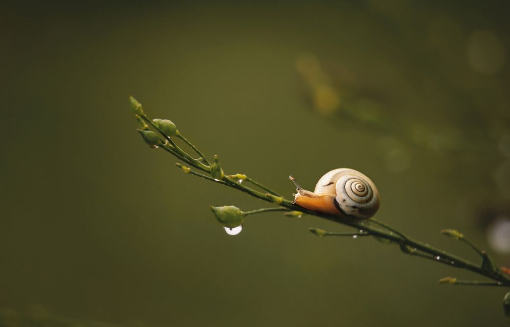 Photograph by Наталья Быстрая