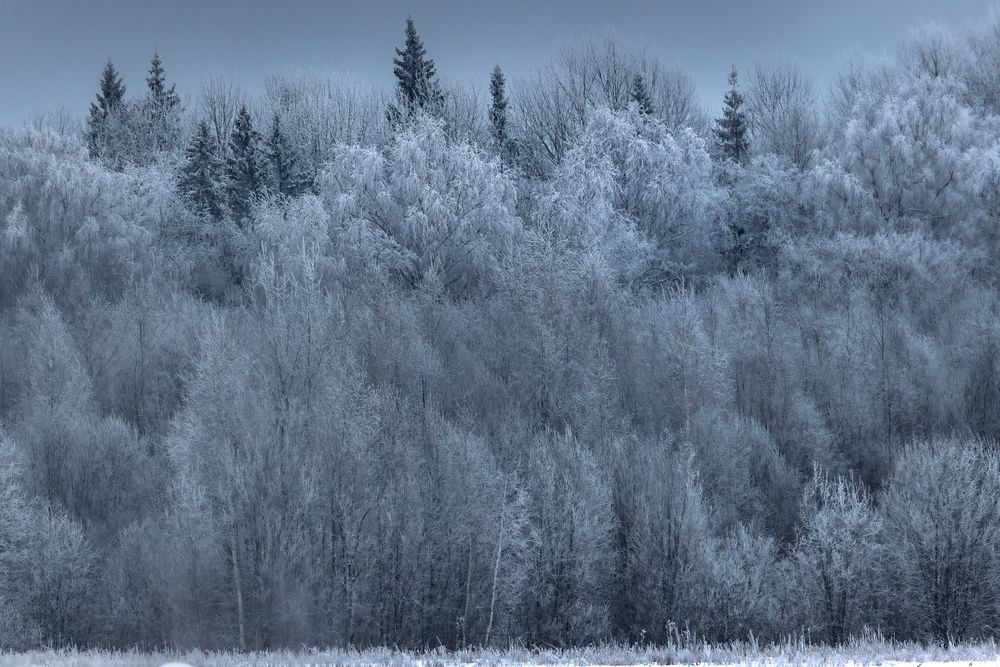 Photograph by Vladimir Petukhov