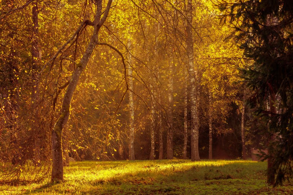 Photograph by Vladimir Petukhov