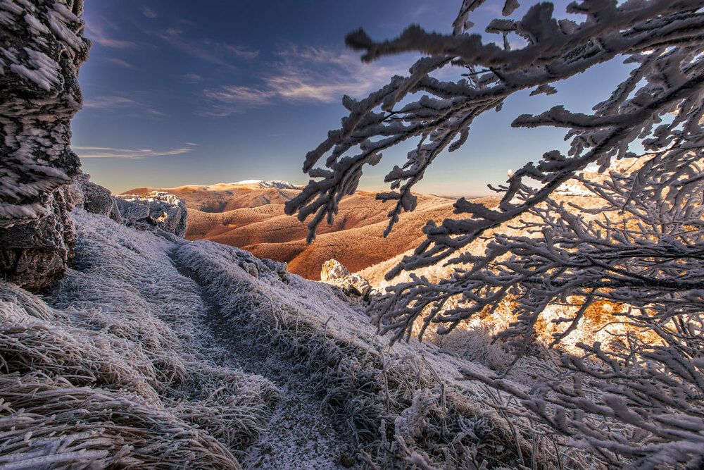 Photograph by Plamen