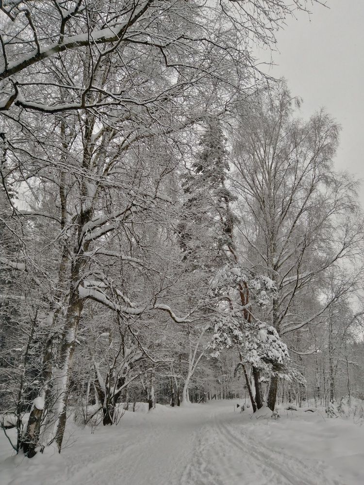 Photograph by Sveta Castañer