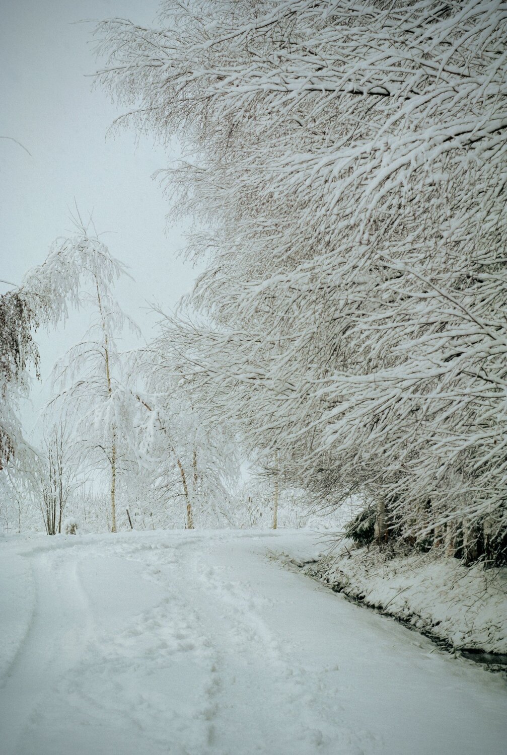 Photo #11793597